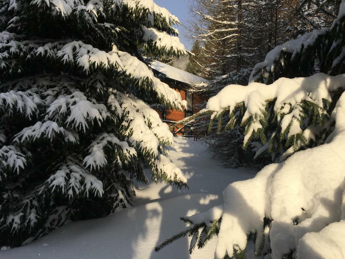 Chalet Rackova Dolina Pribylina Luaran gambar